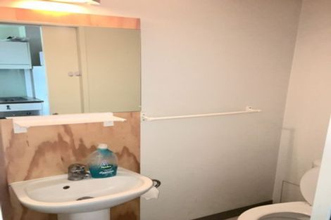 Photo of property in Urbane Apartments, 17/29 Webb Street, Mount Cook, Wellington, 6011