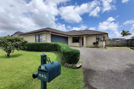 Photo of property in 12 Russett Grove, Henderson, Auckland, 0612