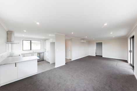 Photo of property in 17 Winchester Street, Levin, 5510