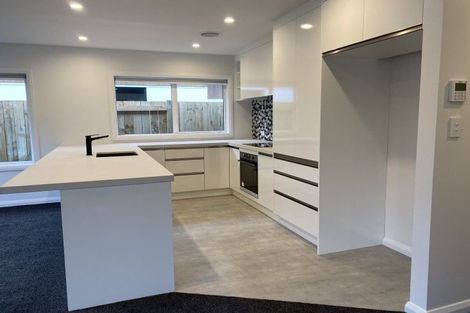 Photo of property in 99a Linton Street, West End, Palmerston North, 4410