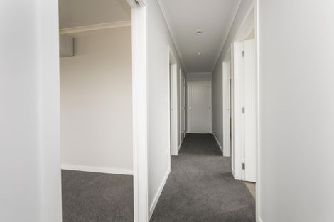 Photo of property in 17 Winchester Street, Levin, 5510