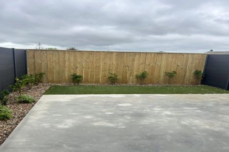 Photo of property in 53 Pipi Place, Levin, 5510