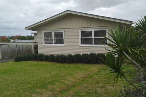 Photo of property in 22 Kaikoura Street, Henderson, Auckland, 0612