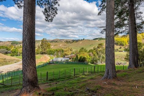 Photo of property in 564 Seafield Road, Puketapu, Napier, 4182