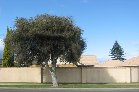 Photo of property in 49a Landing Road, Whakatane, 3120