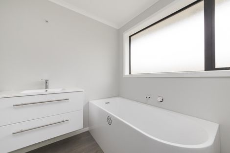 Photo of property in 17 Winchester Street, Levin, 5510