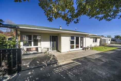 Photo of property in 16 Maunder Street, Marton, 4710