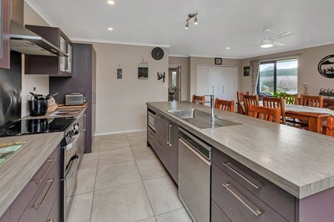 Photo of property in 1488 Kirikopuni Road, Tangiteroria, 0381