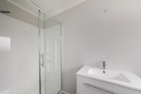 Photo of property in 17 Winchester Street, Levin, 5510