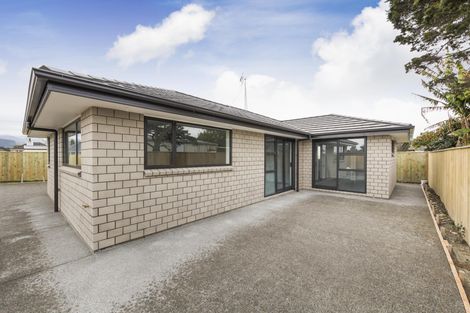 Photo of property in 17 Winchester Street, Levin, 5510