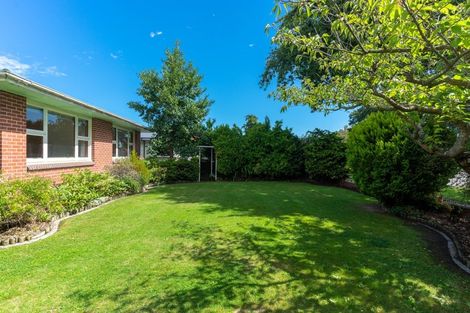 Photo of property in 103 Halswell Road, Hillmorton, Christchurch, 8025