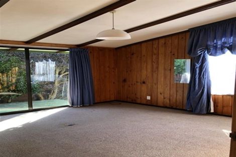 Photo of property in 180e Chapel Street, Masterton, 5810