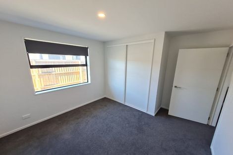 Photo of property in 55 Mcgrath Drive, Lincoln, 7608