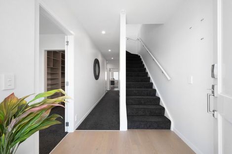 Photo of property in 74u5 Jubilee Road, Khandallah, Wellington, 6035