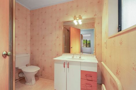 Photo of property in 49 Carey Street, Maeroa, Hamilton, 3200