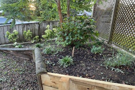 Photo of property in 8a Hall Street, Cambridge, 3434