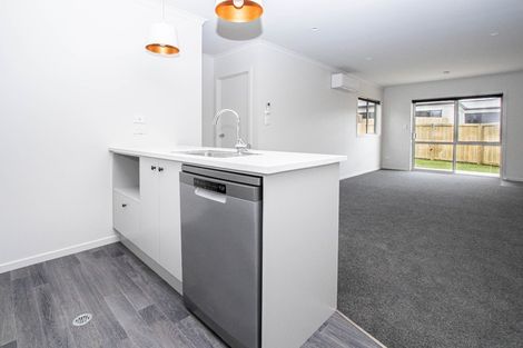 Photo of property in 18u4 Rothwell Street, Dinsdale, Hamilton, 3204