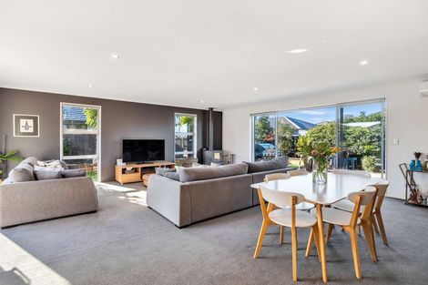 Photo of property in 66 Tauhinu Avenue, Lincoln, 7608