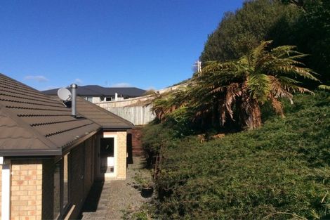 Photo of property in 24 Kanuka Place, Pyes Pa, Tauranga, 3112