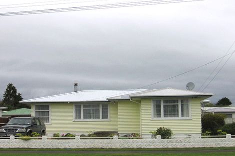 Photo of property in 29 Mabel Street, Levin, 5510