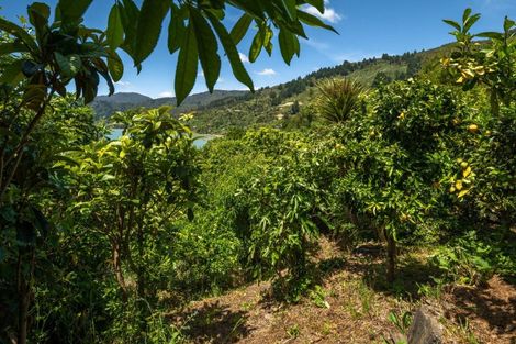 Photo of property in 579 Queen Charlotte Drive, Havelock, 7281