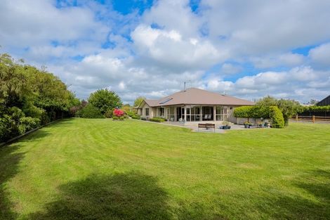 Photo of property in 167 Pharazyn Street, Feilding, 4702