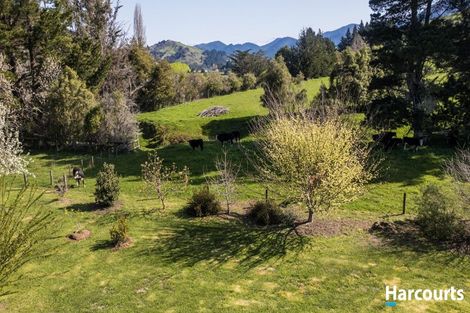 Photo of property in 1742 Motueka River West Bank Road, Motueka Valley, Motueka, 7196