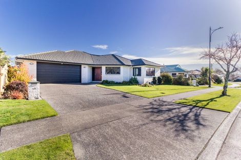 Photo of property in 19 Palmbrook Avenue, Havelock North, 4130