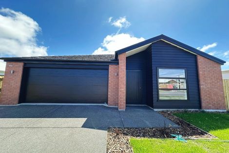 Photo of property in 9 John Gibb Street, Belfast, 8051