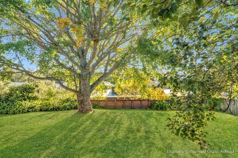 Photo of property in 7 Thomson Avenue, Dinsdale, Hamilton, 3204