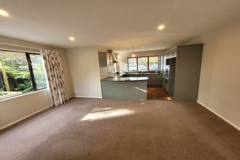 Photo of property in 61 Grimseys Road, Redwood, Christchurch, 8051