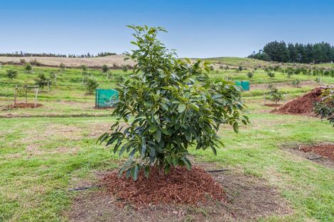 Photo of property in 54d Chard Road, Aongatete, Katikati, 3178