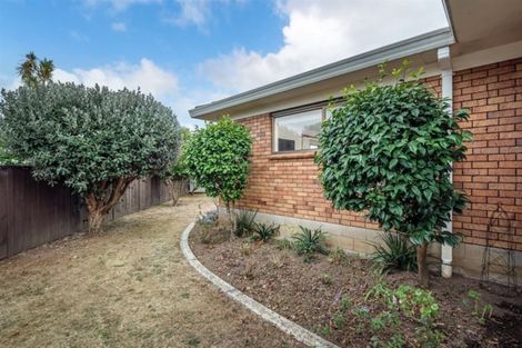 Photo of property in 63c Nile Road, Milford, Auckland, 0620