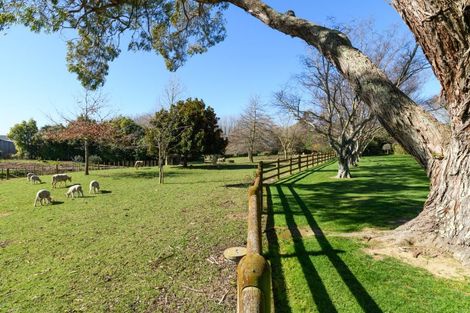 Photo of property in 36 Arnott Street, Feilding, 4702