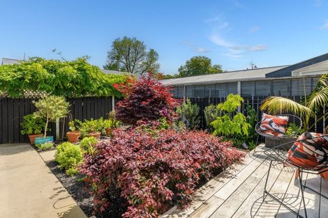 Photo of property in 11b Arundel Street, Tauranga, 3110