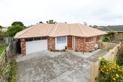 Photo of property in 138b Ferguson Street, West End, Palmerston North, 4412