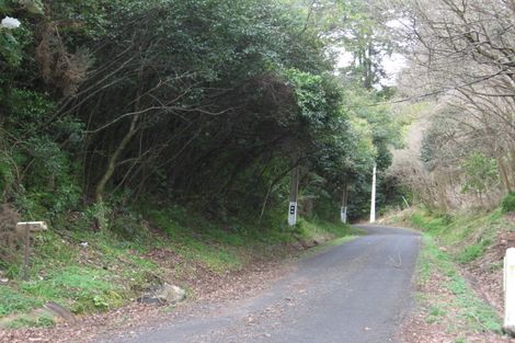 Photo of property in 9 Waiokaraka Road, Thames, 3500