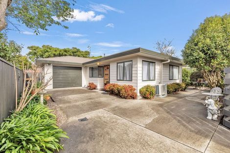 Photo of property in 36b Aberdeen Avenue, Takaro, Palmerston North, 4412