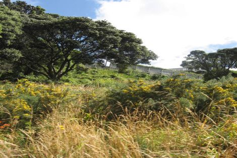 Photo of property in 28 Treasure Grove, Hataitai, Wellington, 6021