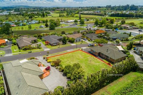 Photo of property in 7 Corwen Avenue, Hairini, Tauranga, 3112