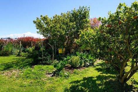 Photo of property in 991 Parewanui Road, Parewanui, Bulls, 4894