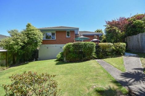 Photo of property in 234 Highcliff Road, Shiel Hill, Dunedin, 9013