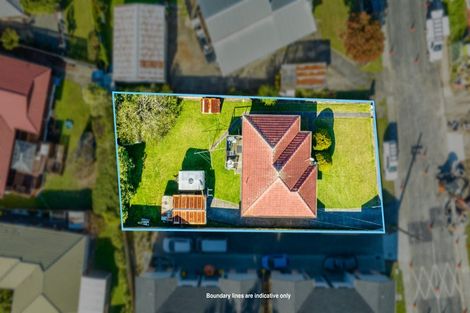 Photo of property in 29 Statesman Street, Henderson, Auckland, 0612