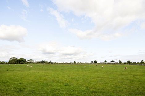 Photo of property in 248 Pokuru Road, Pokuru, Te Awamutu, 3875