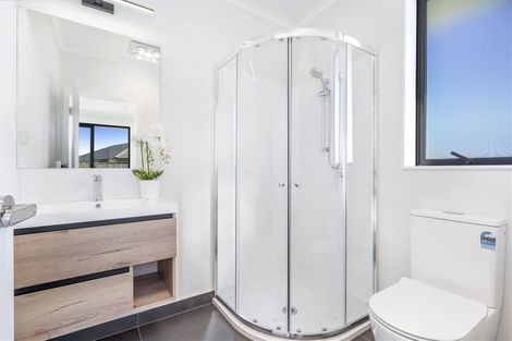 Photo of property in 17 Maggie Place, Chartwell, Hamilton, 3210