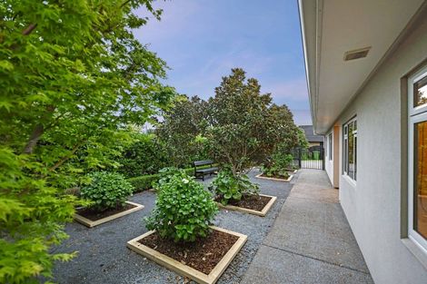 Photo of property in 21 Norfolk Drive, Cambridge, 3434