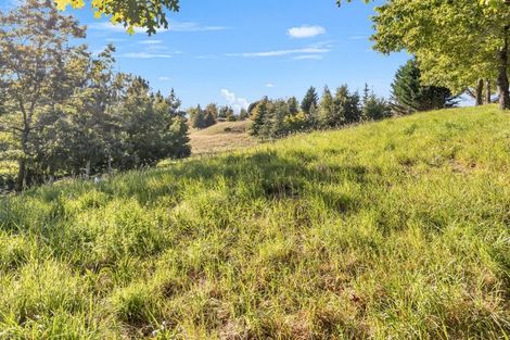 Photo of property in Abbott Street, Waipawa, 4210