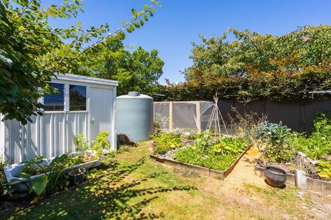 Photo of property in 24 Rewarewa Crescent, Waikanae, 5036