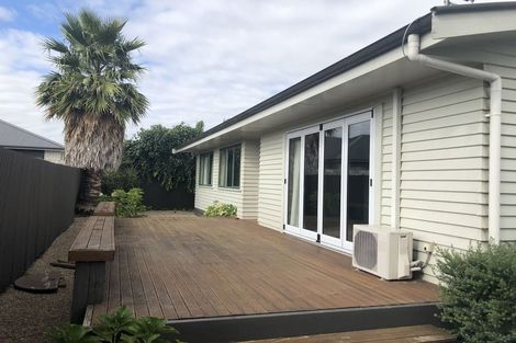 Photo of property in 213c Killarney Road, Frankton, Hamilton, 3204
