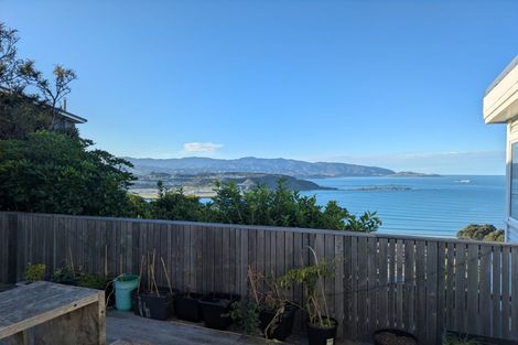 Photo of property in 49 Hornsey Road, Melrose, Wellington, 6023